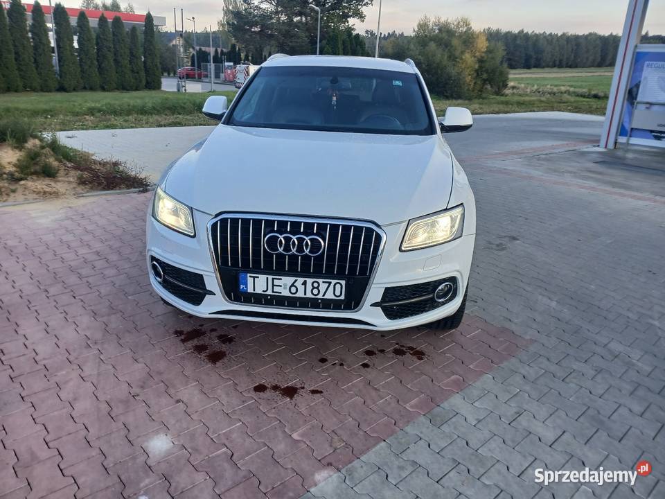 Audi Q5 187KM Jędrzejów