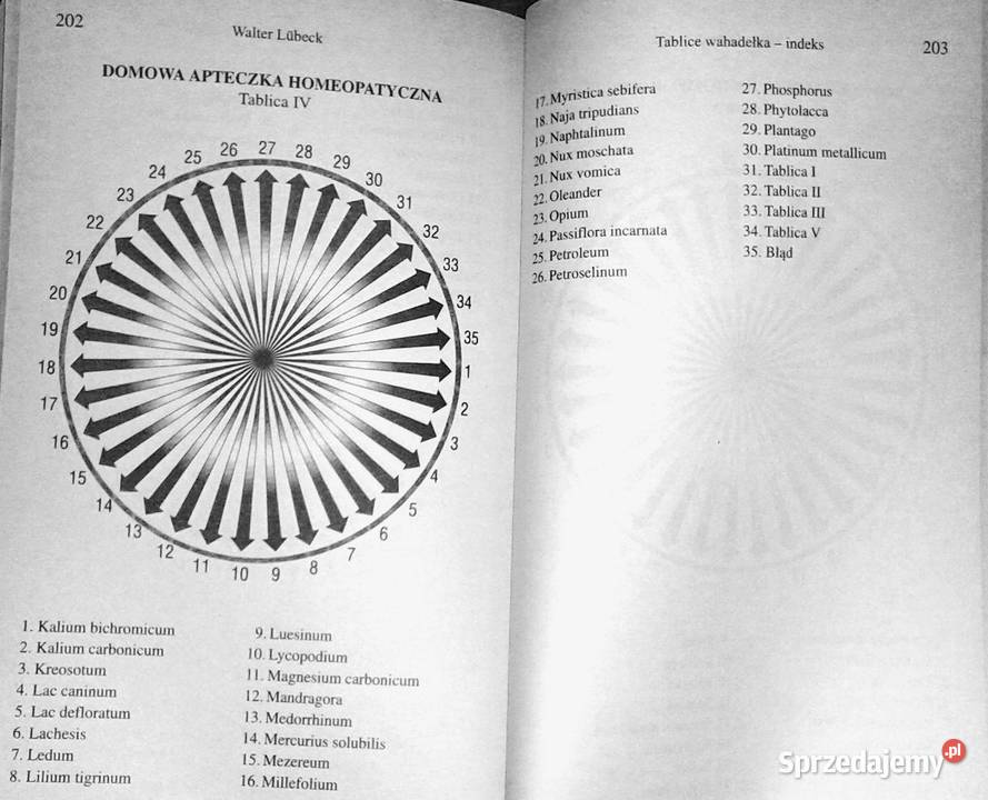 Wahadełko Podręcznik uzdrawiania Walter Lubeck lubelskie