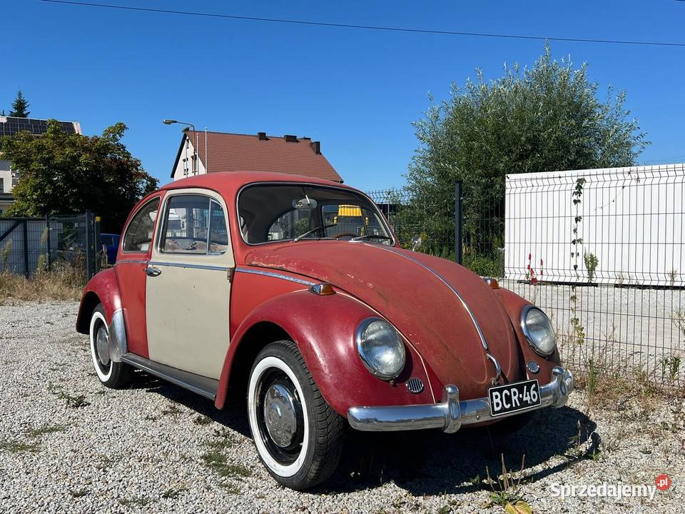 VW Garbus 1300 Ruby Red 1966 Garbus Wrocław