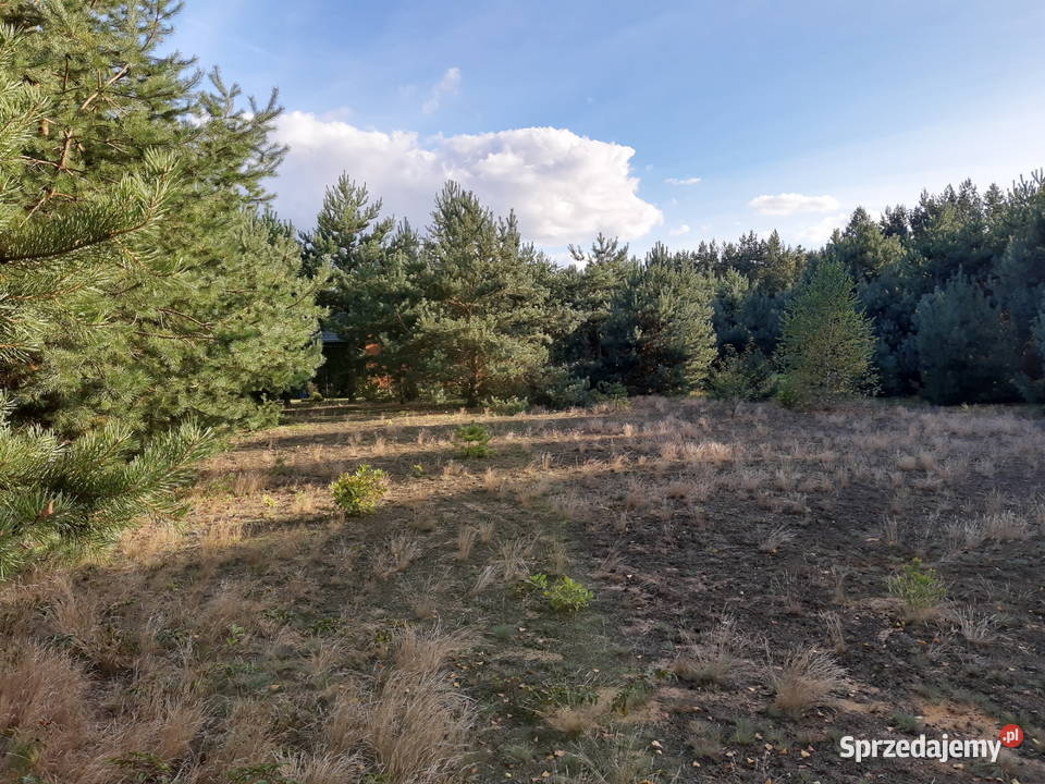 Działka Zambski Kościelne 1680m2 sprzedam