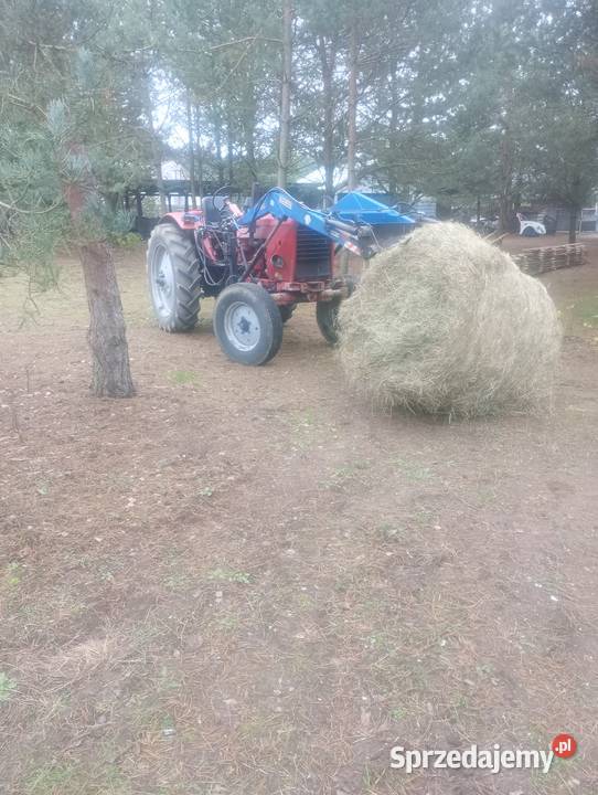 MTZ 50 Belarus traktor ciągnik Belarus Łomża