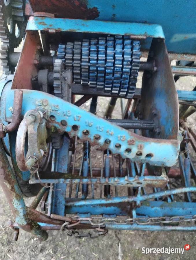 Siewnik Fiona Paradyż