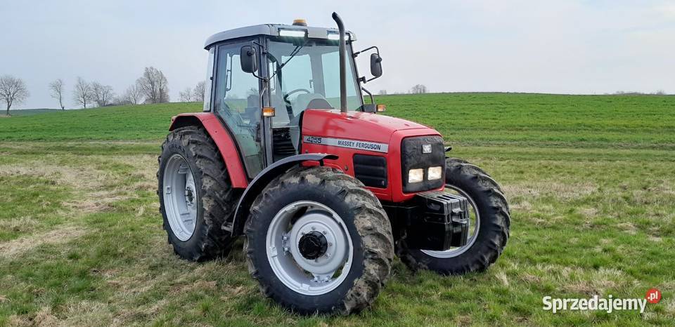 Massey Ferguson 4255 Grudziądz