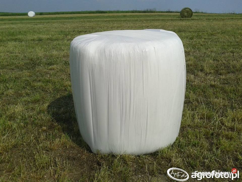 Sianokiszonka 2025 Hanna