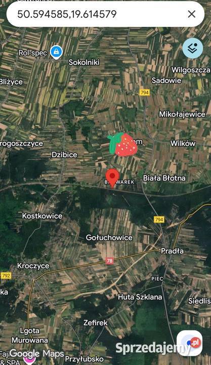 Działka rolna równa bez kamieni 264ha Kroczyce