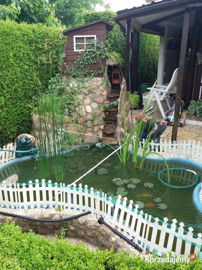 Sprzedam działkę rekreacyjną ROD Relaks w żywopłot Grunty i działki Kulów