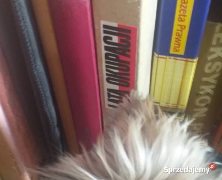 Ksiazki Rękodzieło Kielce