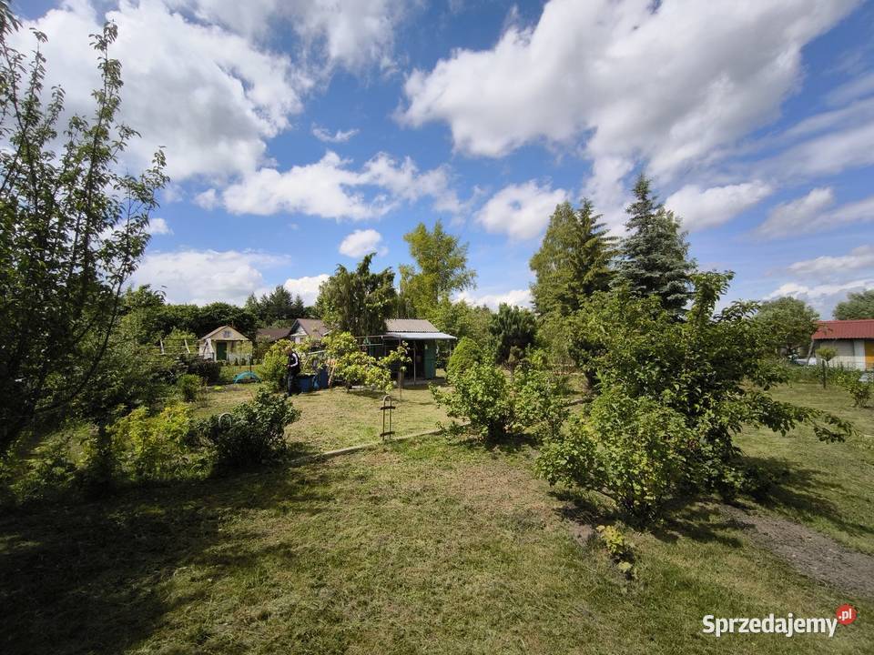 Działka Rod Wygon 6ar dużo nasadzeń kominek siatka Grunty i działki Chełm