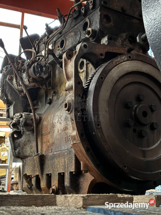 Perkins LF31227 Silnik Blok Tryb Koło Pasowe wielkopolskie sprzedam
