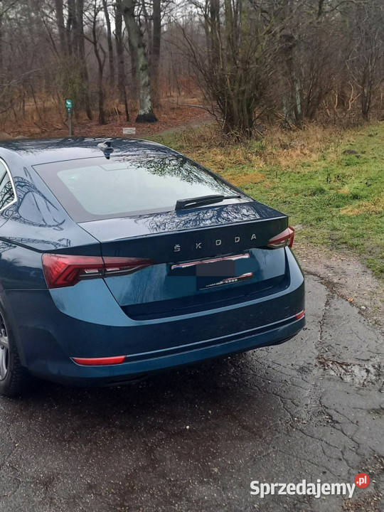 koda Octavia 20 benzyna 190hp DSG IV 2020 Sadlno