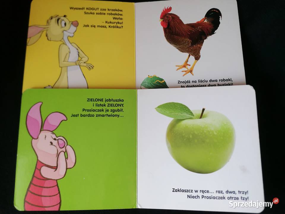 Kubuś Puchatek i Przyjaciele książeczki Disney Łódź