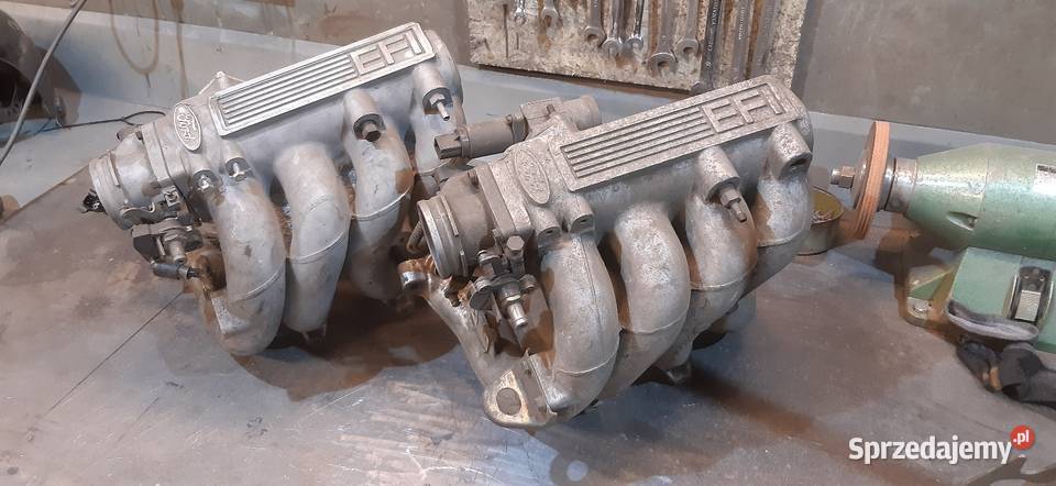 Kolektory dolotowe Ford Pinto Caterham Sierra Rok produkcji 1989