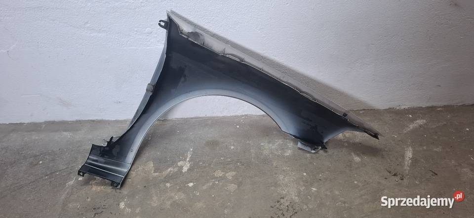 Błotnik Renault Laguna II Karoseria Sandomierz sprzedam