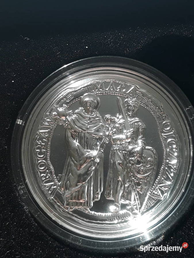 50 Wrocławmała ojczyzna 2021 rwysoki relief Konin sprzedam