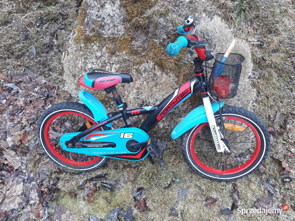 Rowerek dziecięcy Sport i Wypoczynek Jelenia Góra