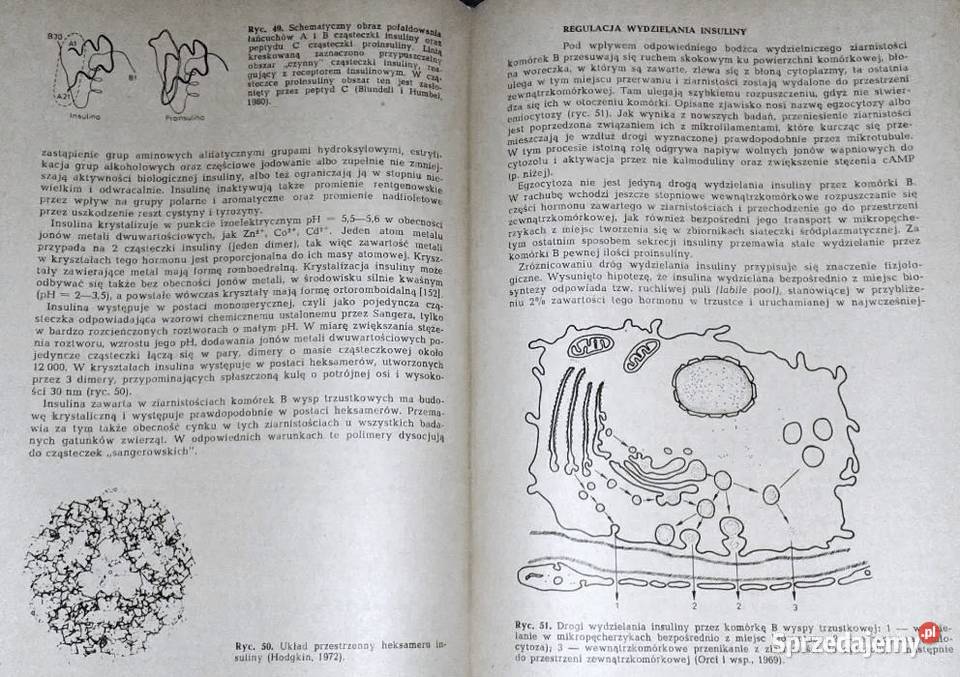 Patofizjologia i klinika cukrzycy Artur Czyżyk Chełm