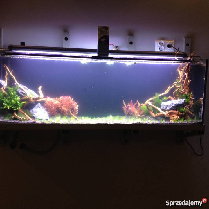 Wiszące akwarium 200L