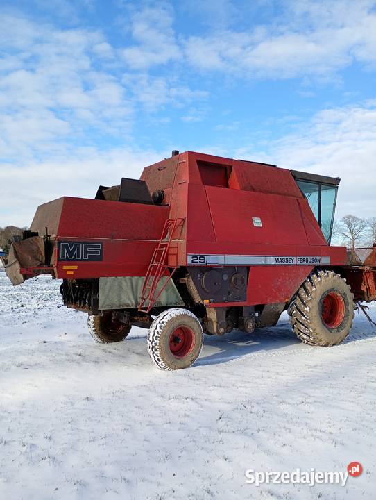 Massey ferguson 29 podkarpackie