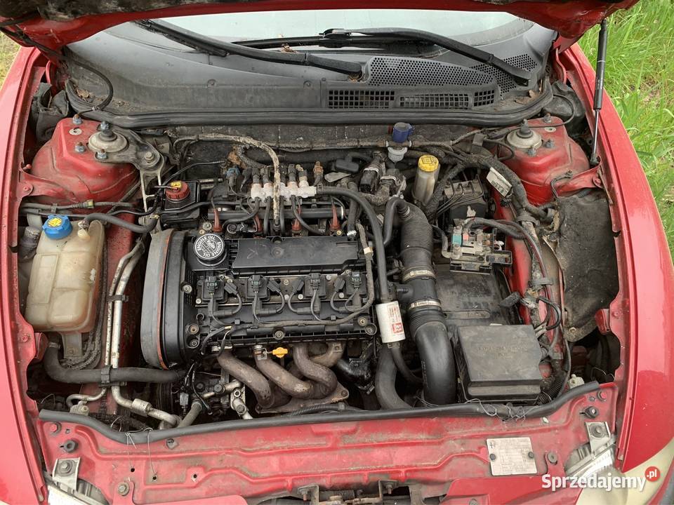 Alfa 147 na części 120KM Zielona Góra