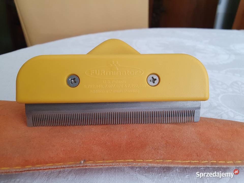 FURMINATOR psa o krótkiej długiej sierści Głubczyce