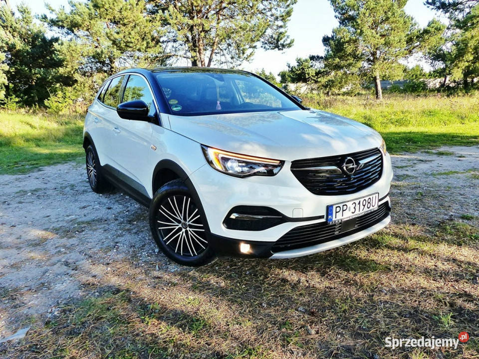 Opel Grandland X 15 ASR (kontrola trakcji) Motoryzacja wielkopolskie Piła