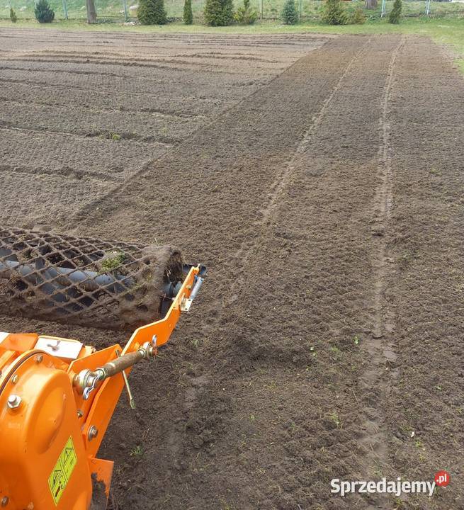 Niwelacja terenu RYKI STĘŻYCA TROJANÓW GOŁĄB