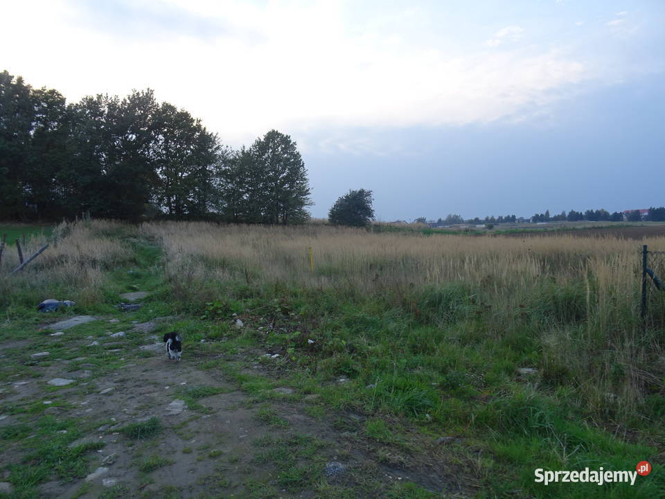 SPRZEDAM DZIAŁKĘ BUDOWLANĄ INWESTYCYJNĄ MORZEM inwestycyjna Nieruchomości Ustronie Morskie