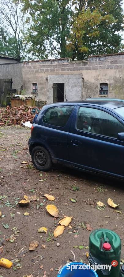 Toyota Yaris Orzechowo
