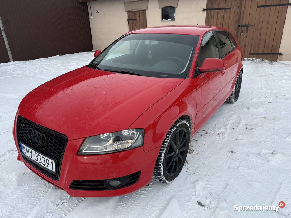 Audi A3 8P lift 2010 Wojsławice