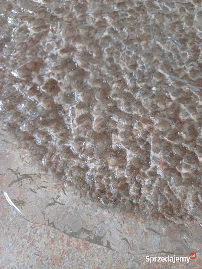 vintage szwedzkie szkło Nowy Targ