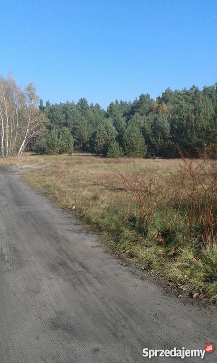 spokojne miejsce budowlana Arciechówek