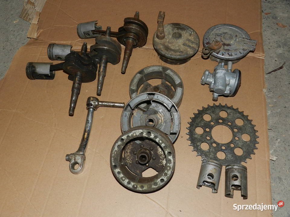 gażnik komar Rymanów