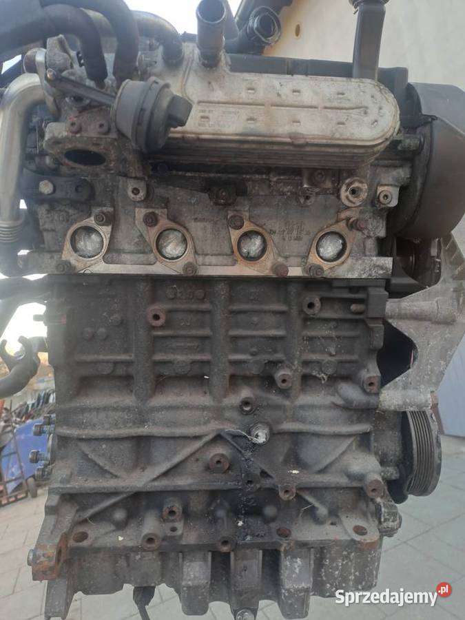 Volkswagen Passat B6 20 TDi 140 silnik kod BKP Silniki kompletne Jastrzębie-Zdrój