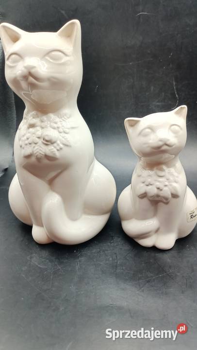 Para białych kotów Rosa Ljung Helsingborg lubelskie Zamość sprzedam