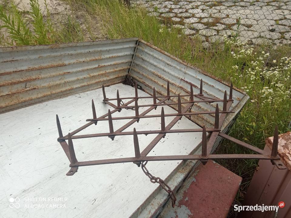 Brona świętokrzyskie