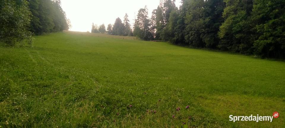 ZAKOPANE GLAMPINGPiękna działka widokowa u stóp