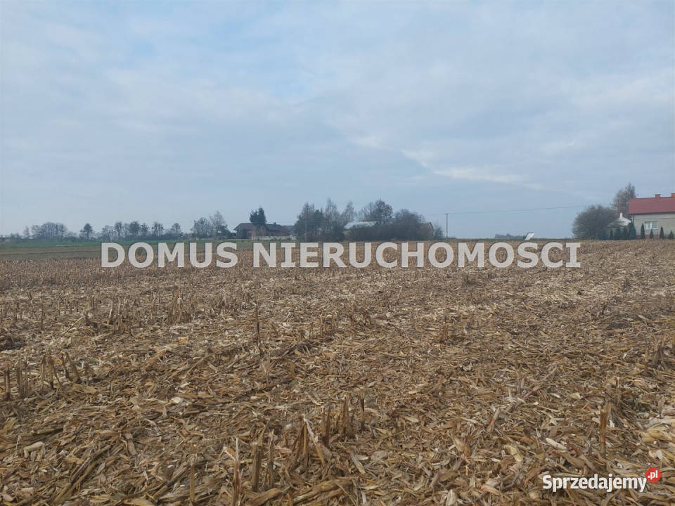 sprzedaży działki Tworzyjanki 1500m2