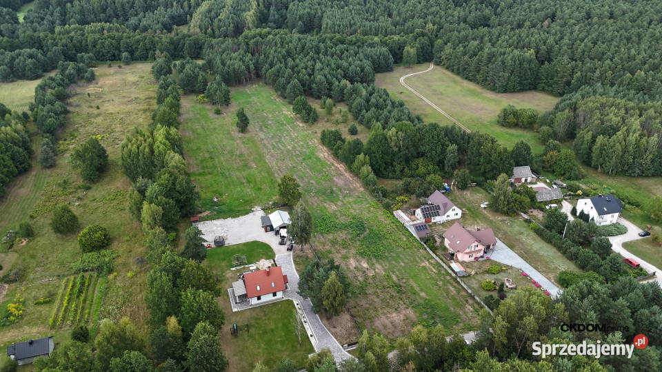 Działka na sprzedaż 910 m2 Gałęzice gm Piekoszów świętokrzyskie sprzedam
