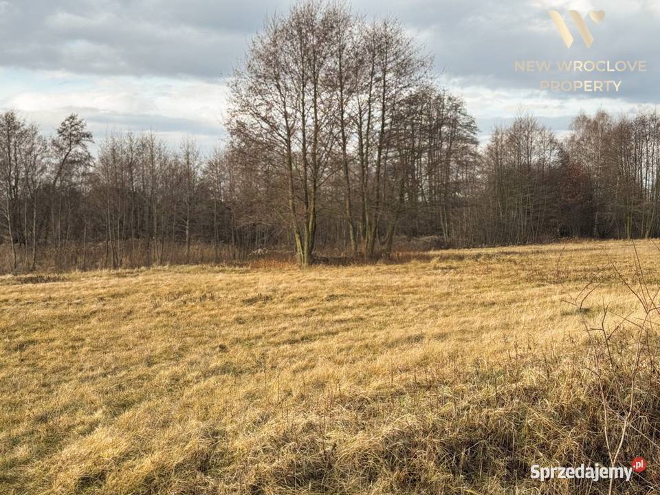 Działka rolna Złotów ponad 1ha w studium pod sprzedam