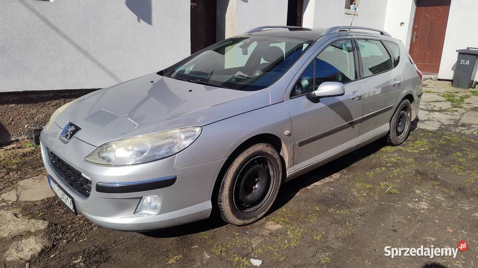PEUGEOT 407 SW 140 LPG relingi dachowe
