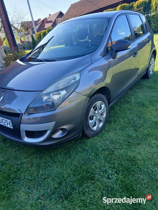 Renault Scenic Giedlarowa