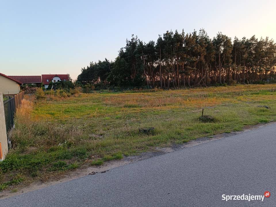 Działka Karnin pod lasem jeziora Sprzedaż lubuskie