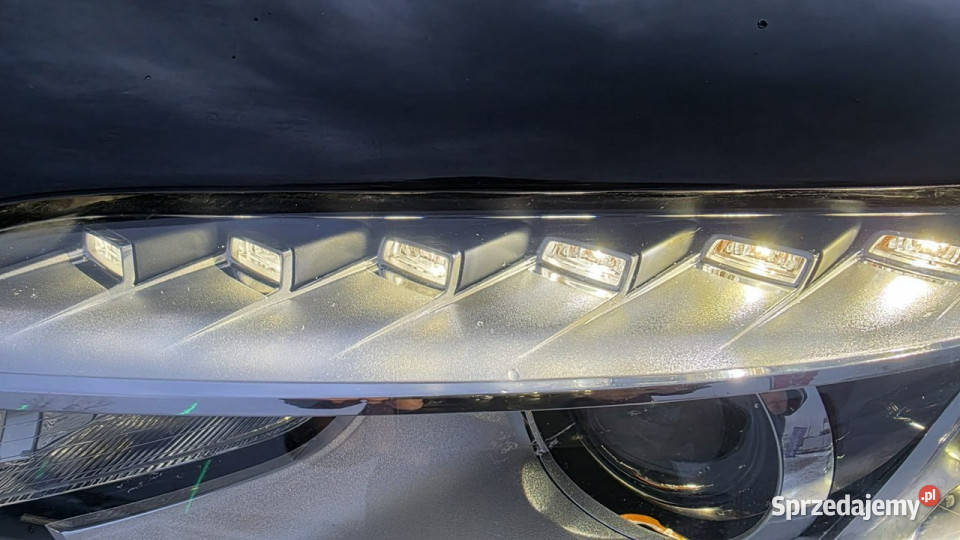 Audi Q7 Xenon Climatronic Duża Navi 7 osobowy S pomorskie Lębork