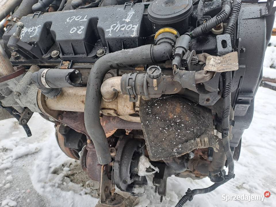 Ford Fokus C Kuga Volvo 20 TDCi 136 silnik Jastrzębie-Zdrój
