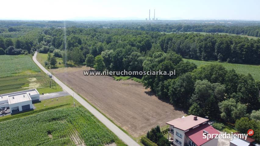 Grunt 1032m2 Skrzyszów asfalt sprzedam