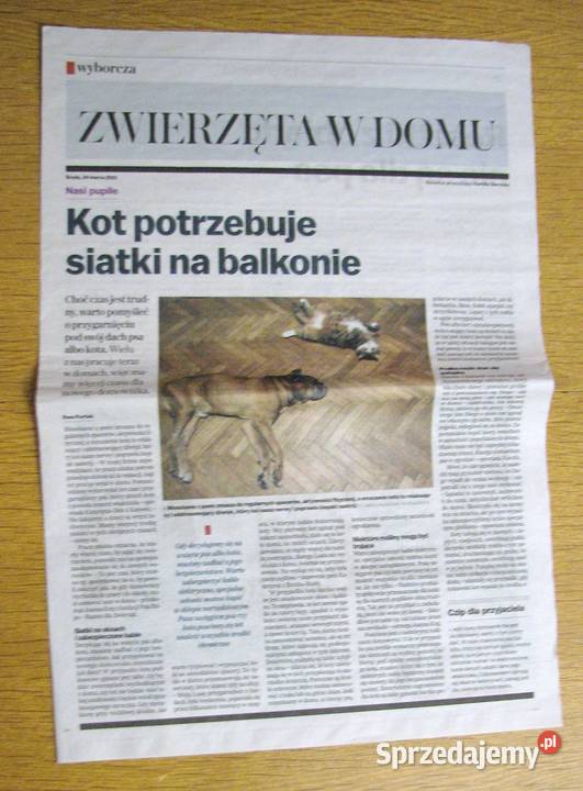 Zwierzęta w domu Gazeta Wyborcza miękka Pozostałe Parczew