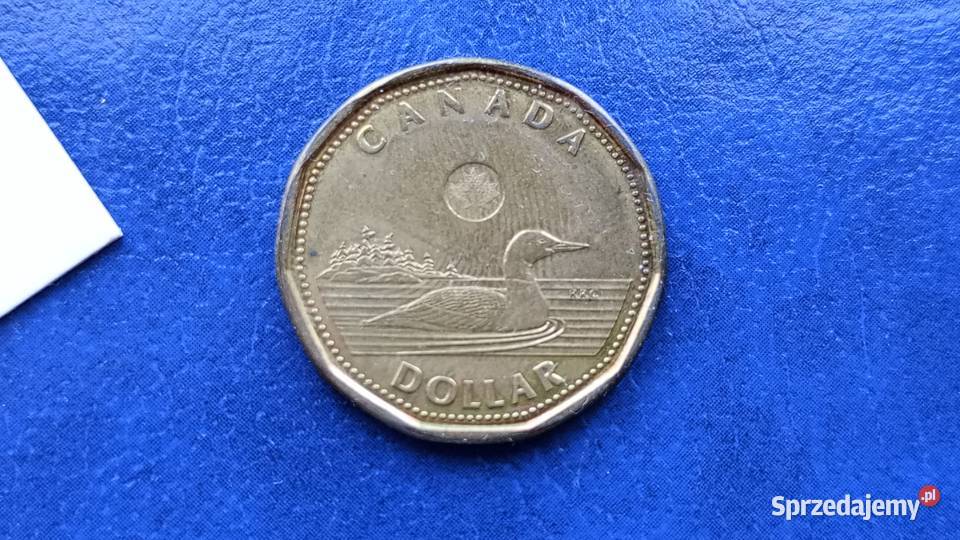 Stare monety 1 dolar 2012 Kanada Numizmatyka Lesko