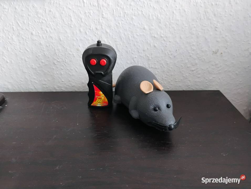 Zabawka kota