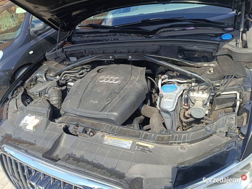 Audi Q5 4/5 Kościan