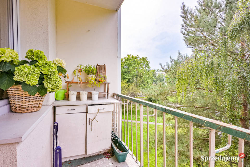 Mieszkanie Gdańsk Sztormowa 526m2 3 pokoje Sprzedaż